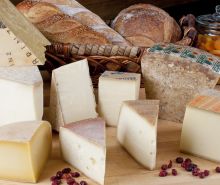 Swiss-Cheese1